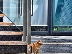 -星巴克(深圳前海企业公馆店)