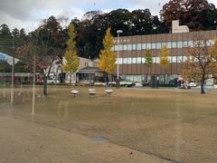 -金泽21世纪美术馆