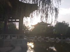-西安青龙寺遗址景区