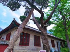 -青岛崂山太清宫