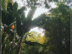 -望江楼公园