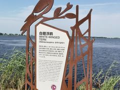 -黑龙江扎龙生态旅游区