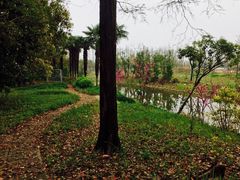 -上海长兴岛郊野公园