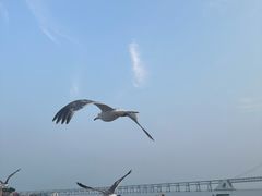 -星海广场