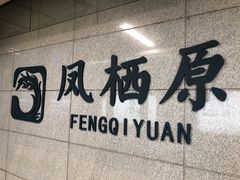 -凤栖原(地铁站)