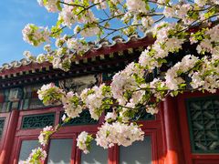 -海棠花溪(元大都城垣遗址公园)