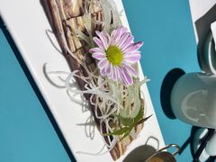 -稍可轩博物馆餐厅