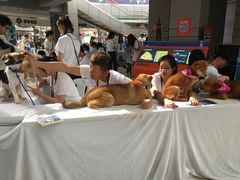 -宝龙广场(福州台江店)
