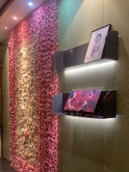 -盘子女人坊古装写真摄影(南京总店)