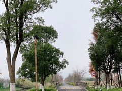 -长田漾湿地公园