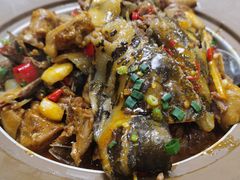 -洞庭家宴·头牌甲鱼(广渠门店)