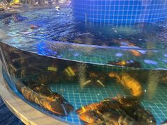 -大众海鲜(巨龙北路店)