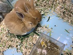 -三旗百汇商品城