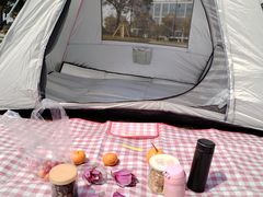 -长兴太湖图影湿地文化园