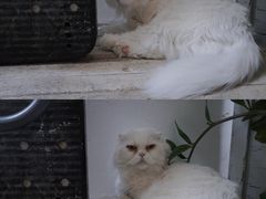 -小时光咖啡馆(北锣鼓巷店)