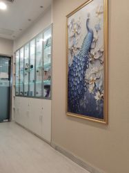 -北京楚诺医疗美容