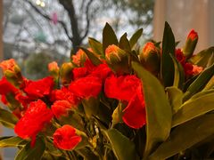 -春暖花开(西溪店)