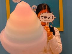 -台场海滨公园船码头