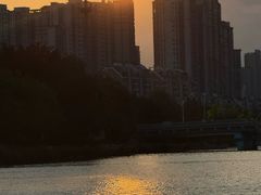 -光明港公园