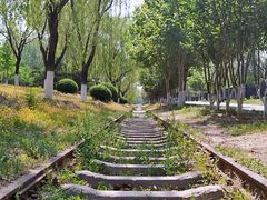 -永定河休闲森林公园