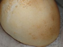 -百年夯碳烤胡椒饼(阿拉城店)