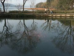 -西湖外事游船(花港观鱼码头)