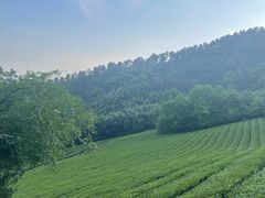 -敬亭山风景名胜区