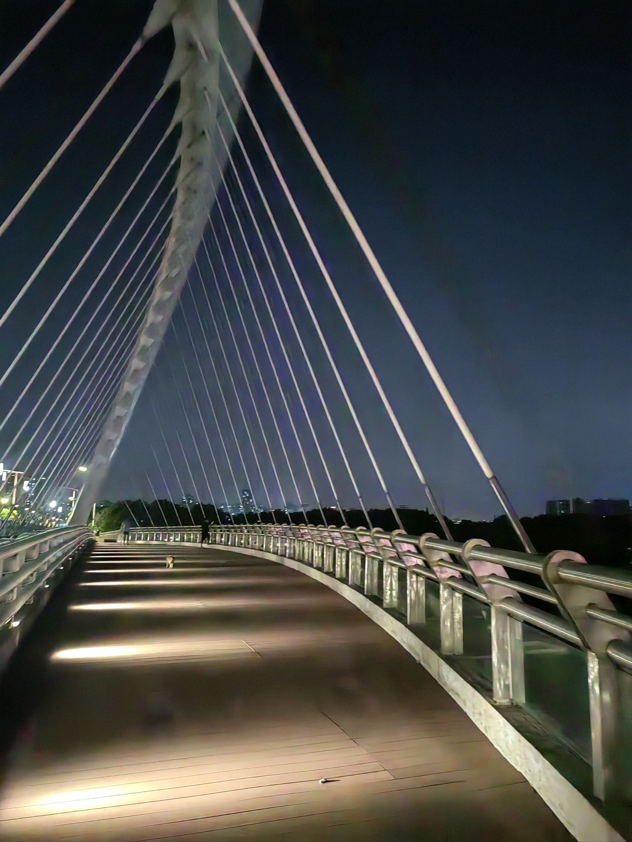 夜景风光好!大桥漂亮的散散步