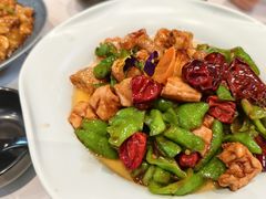 -鸢飞潍坊菜馆(鸢飞大酒店)