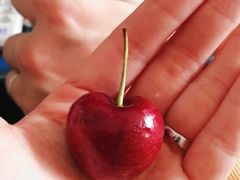 -果蔬好生活超市(乐堤港店)