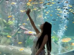 -合肥海洋世界