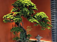 -阿伟海鲜楼·福建菜(延寿店)