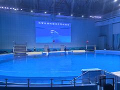 -石家庄极地海洋世界