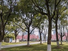 -东钱湖小普陀景区