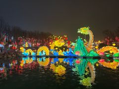 -淄博花灯齐彩城