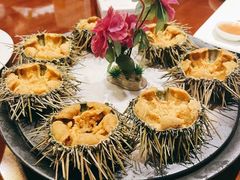 原壳活海胆-东莱馋房(陆家嘴店)
