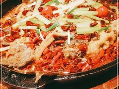 -老板恋上鱼(荣盛广场店)