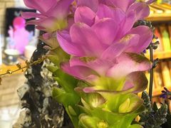 -今日陶艺(富力广场店)