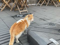 -前叁門