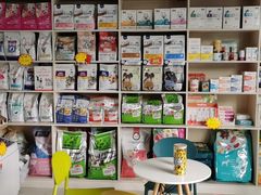 -乐琪宠物医院·犬猫专科·骨外科·急重症