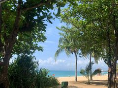 -三亚海棠湾万丽度假酒店