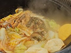 -桃源村铁锅炖鱼(体育馆道店)