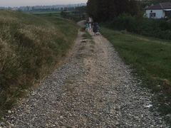 -湖南东洞庭湖国家级自然保护区