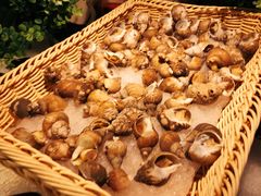 -星伦多 自助料理(圆融店)