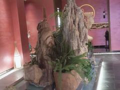 -恬阿姨庭院餐厅·生日宴