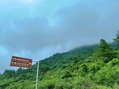 -武陵山森林公园