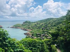 -枸杞岛