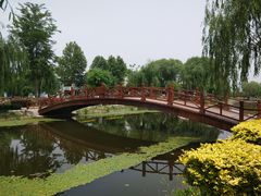 -白洋淀景区