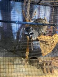 -酷嗒动物文化乐园(cutezoo西溪乐天城店)