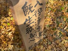 -熙古里艺术村